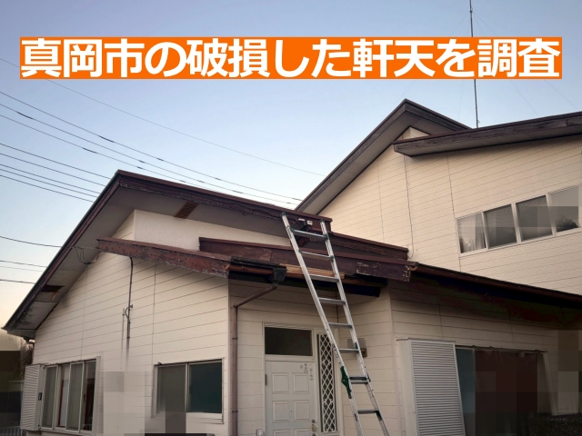 真岡市の破損した軒天を調査します